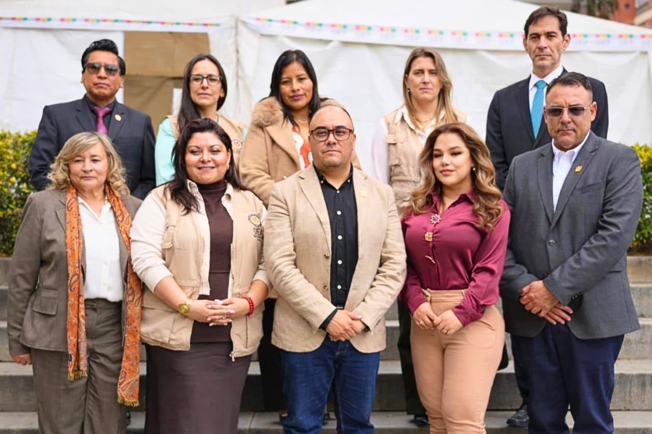 La misión de la OEA. Foto: TSE.