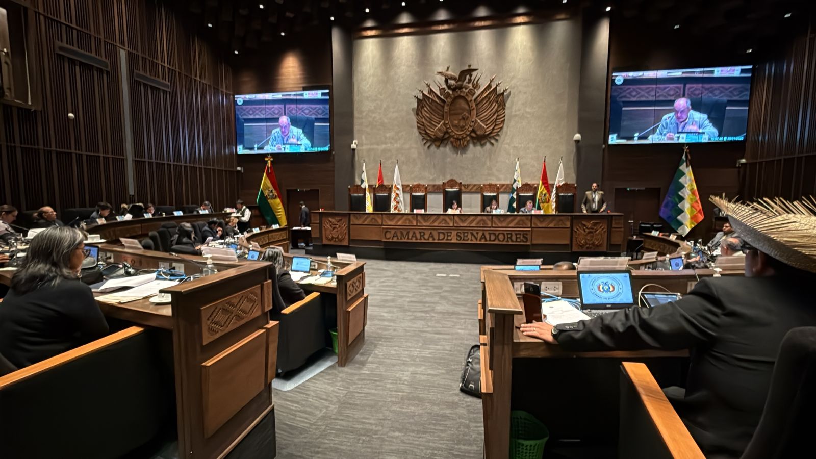 Imagen del interior de la Cámara de Senadores del Estado Plurinacional de Bolivia. Foto: Redes Sociales.
