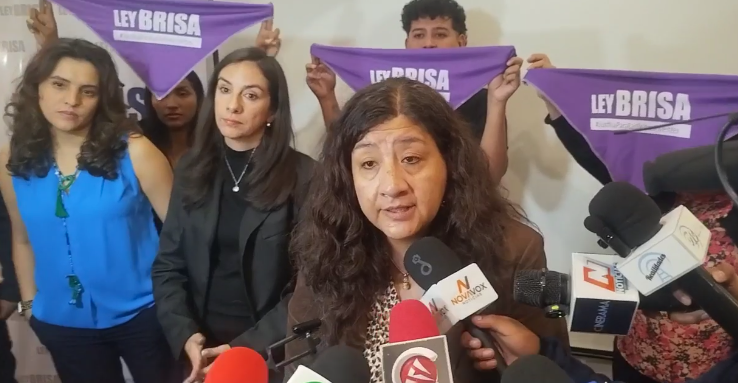 Organizaciones de la sociedad civil en apoyo a la aprobación de la Ley Brisa. Foto: Redes Sociales.