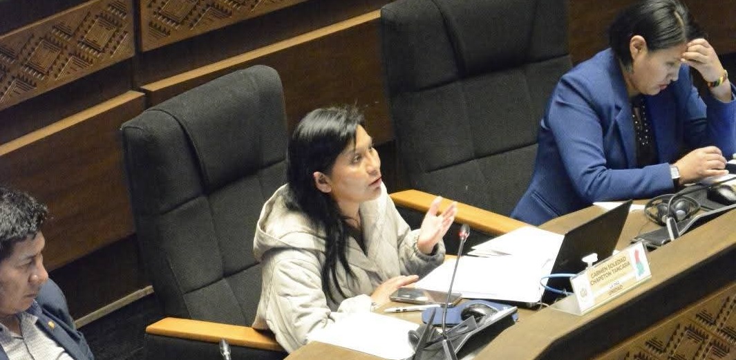 La senadora Soledad Chapetón. Foto: Facebook Soledad Chapetón