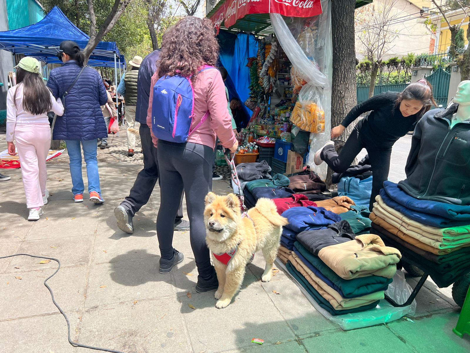 Un votante con su mascota en la unidad educativa Agustín Aspiazu en Sopocachi. Foto: ABI.