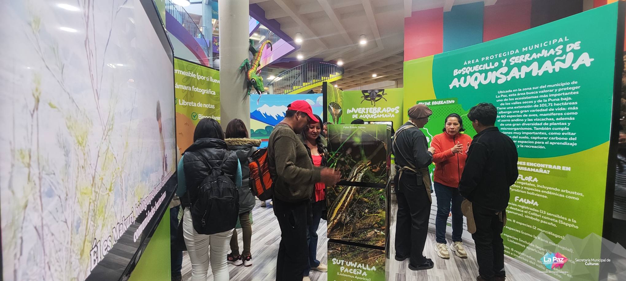 Exposición del área protegida Auquisamaña en el Museo Pipiripi. Foto: GAMLP.