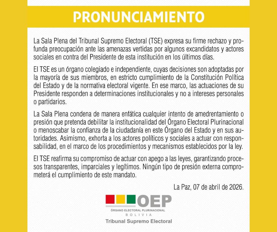 Pronunciamiento emitido por el Tribunal Supremo Electoral este martes. Foto: TSE.