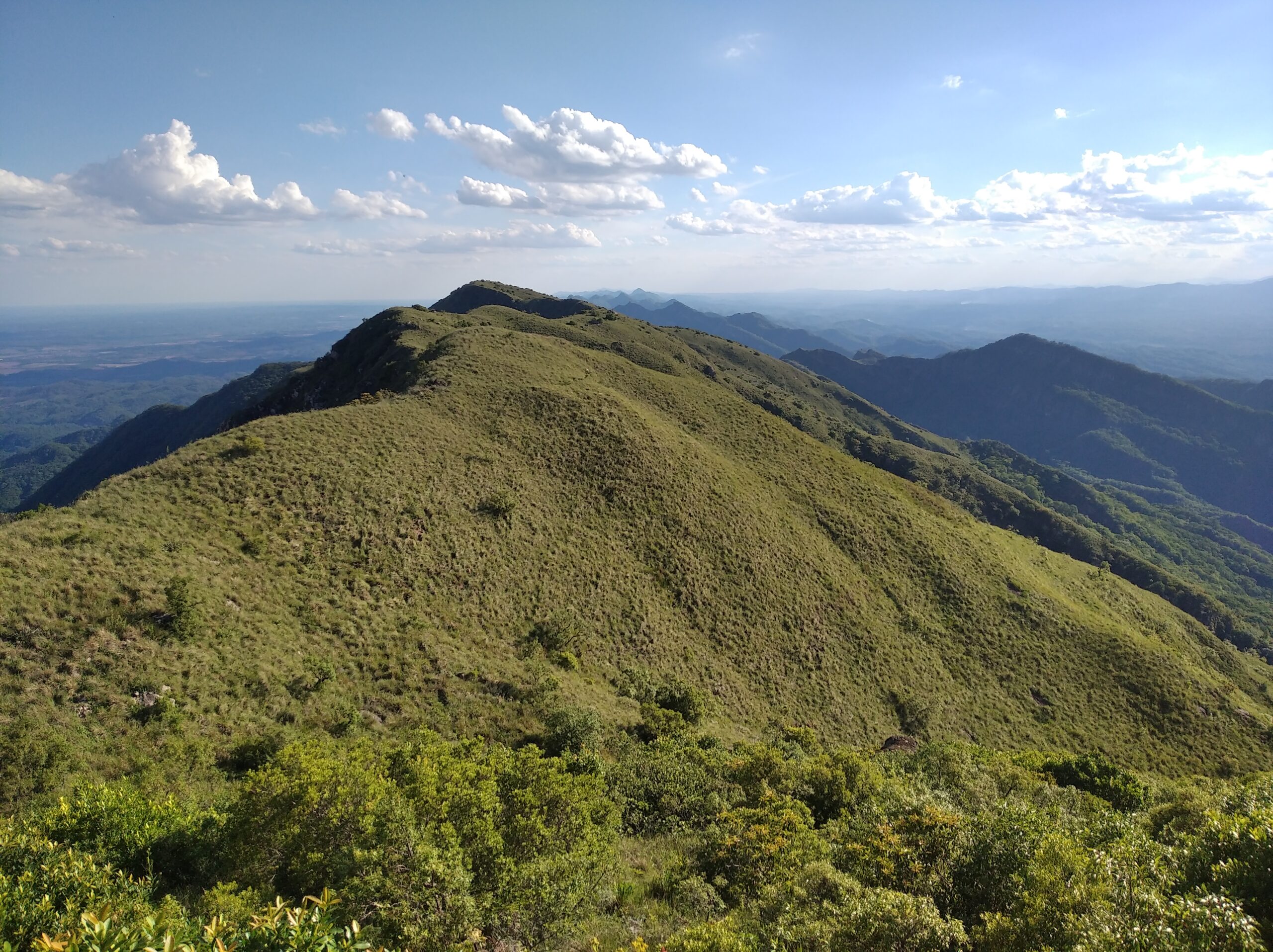 Cima del Parque Nacional y Área Natural de Manejo Integrado (PN-ANMI) Serranía del Aguaragüe. Foto: Sernap.
