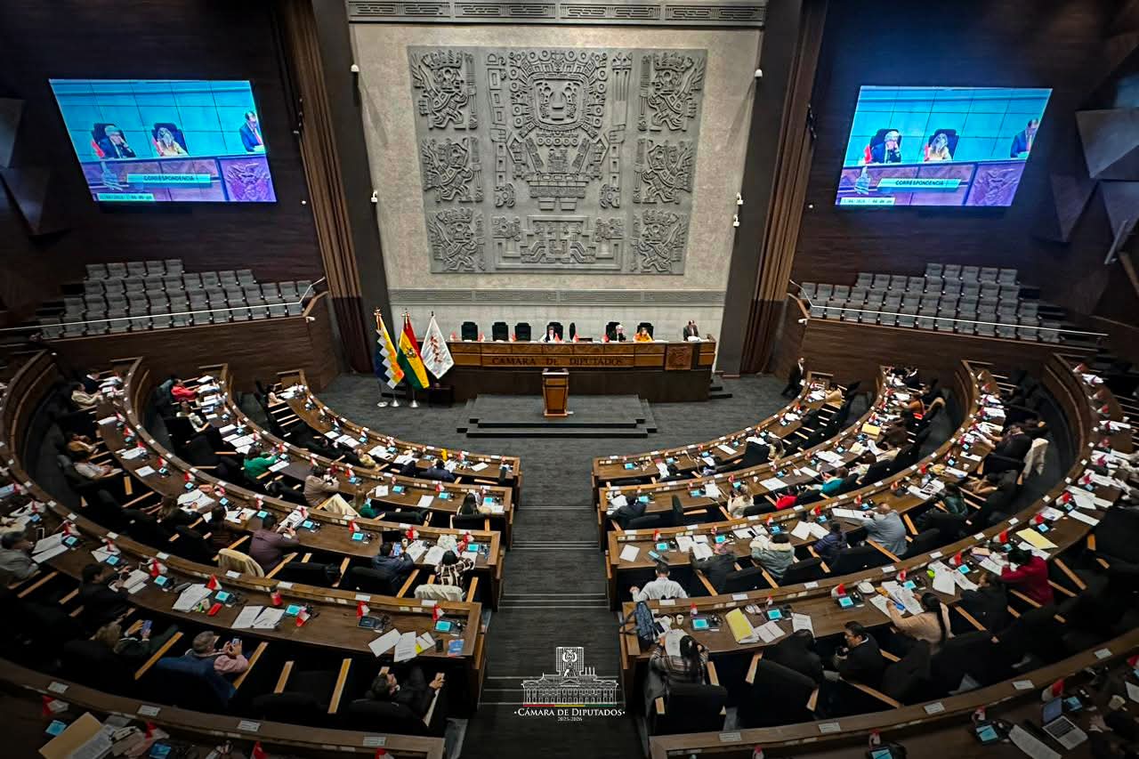 Sesión ordinaria en Diputados. Foto: Cámara de Diputados.