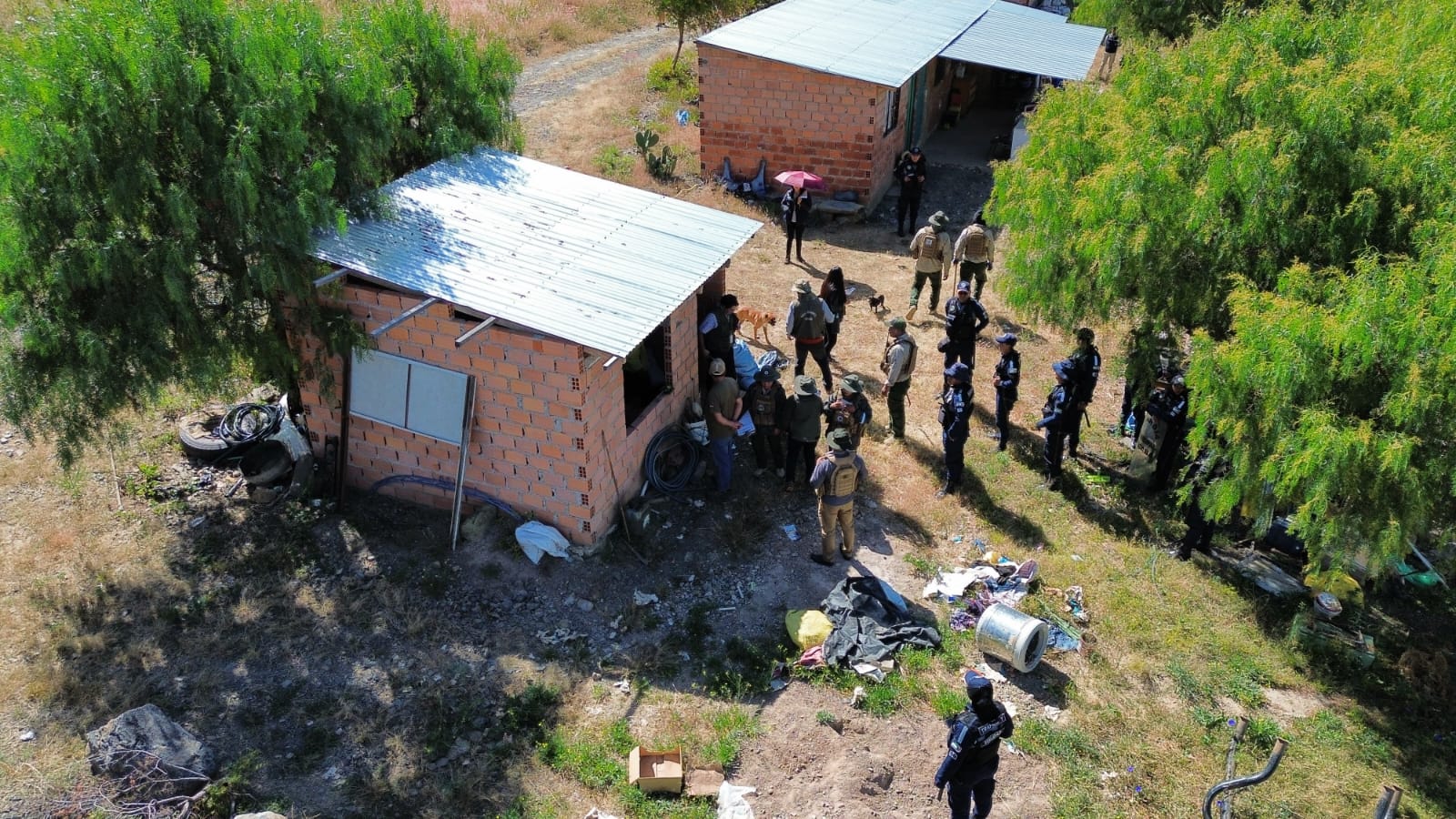 Predios restituidos por el Sernap en el Parque Nacional Tunari en Cochabamba. Foto: Sernap.