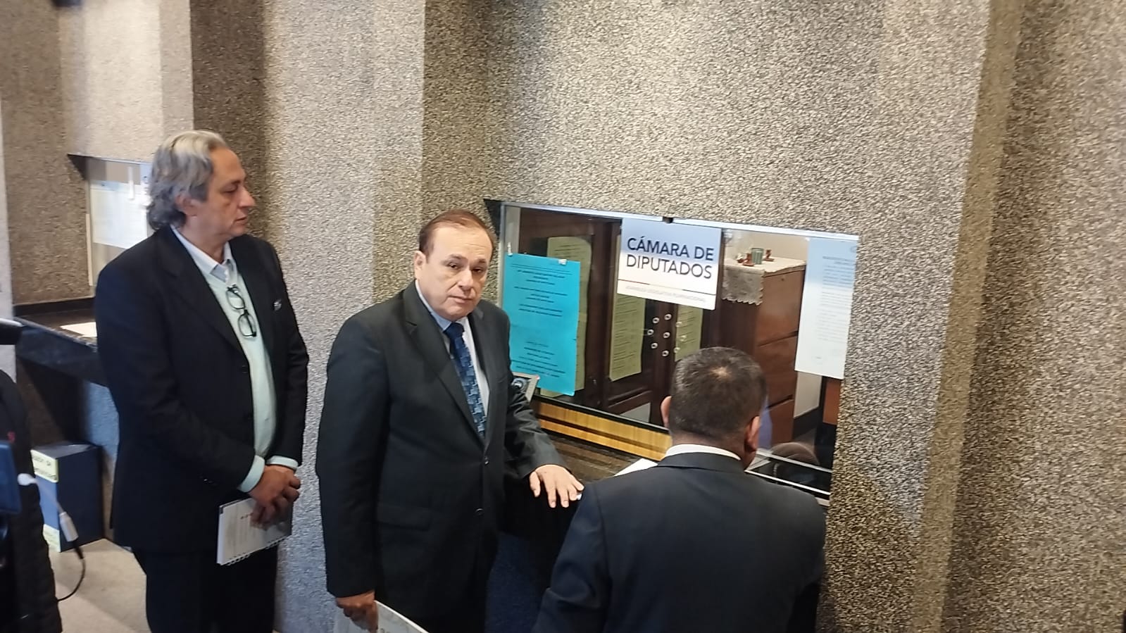 Presentación de denuncia en ventanilla Cámara de Diputados. Foto: FPS.