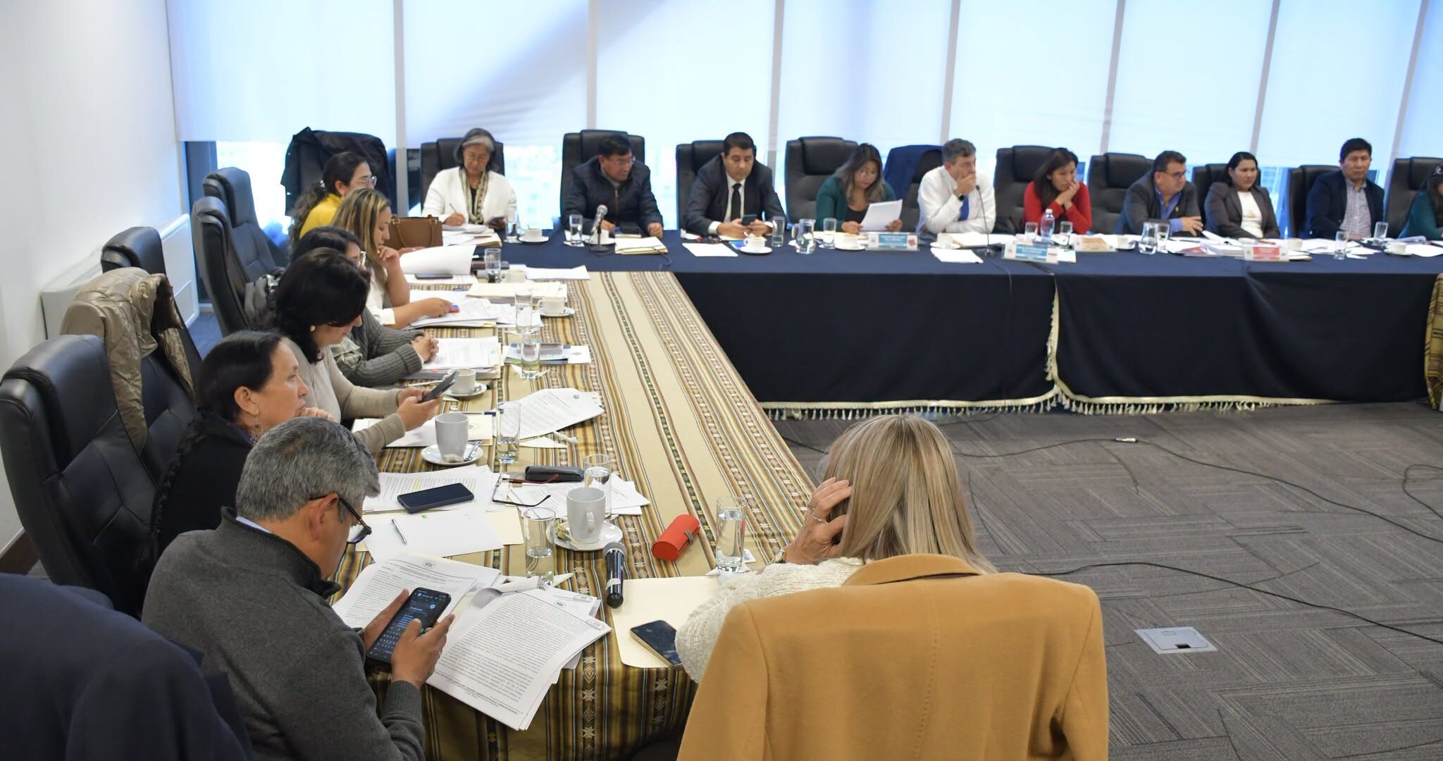 Legisladores analizan el proyecto de ley de apoyo financiero. Foto: Cámara de Senadores.