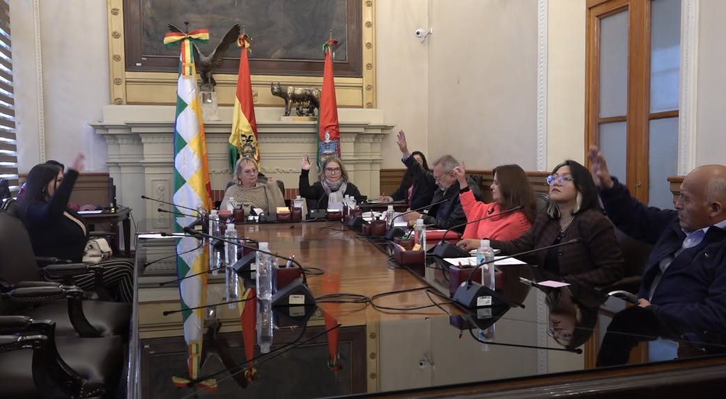 Los concejales sesionaron este viernes. Foto: Concejo Municipal.
