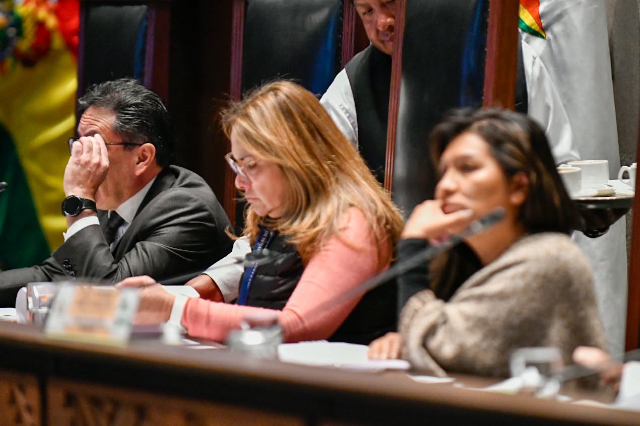 Legisladores sesionan en el Senado. Foto: Cámara de Senadores.