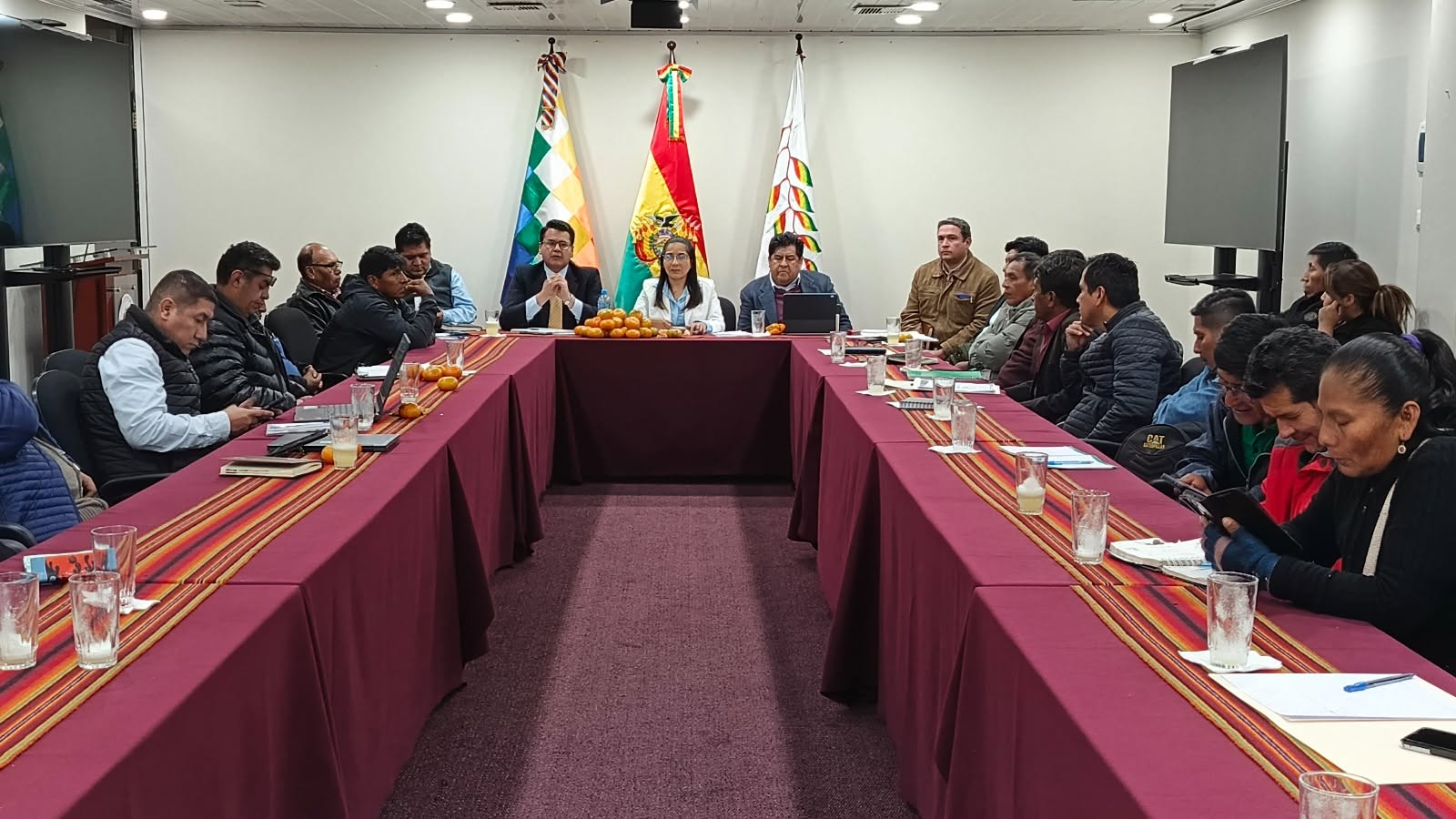 Viceministros reunidos con autoridades locales del norte de La Paz. Foto: Viceministerio de Desarrollo Agropecuario.