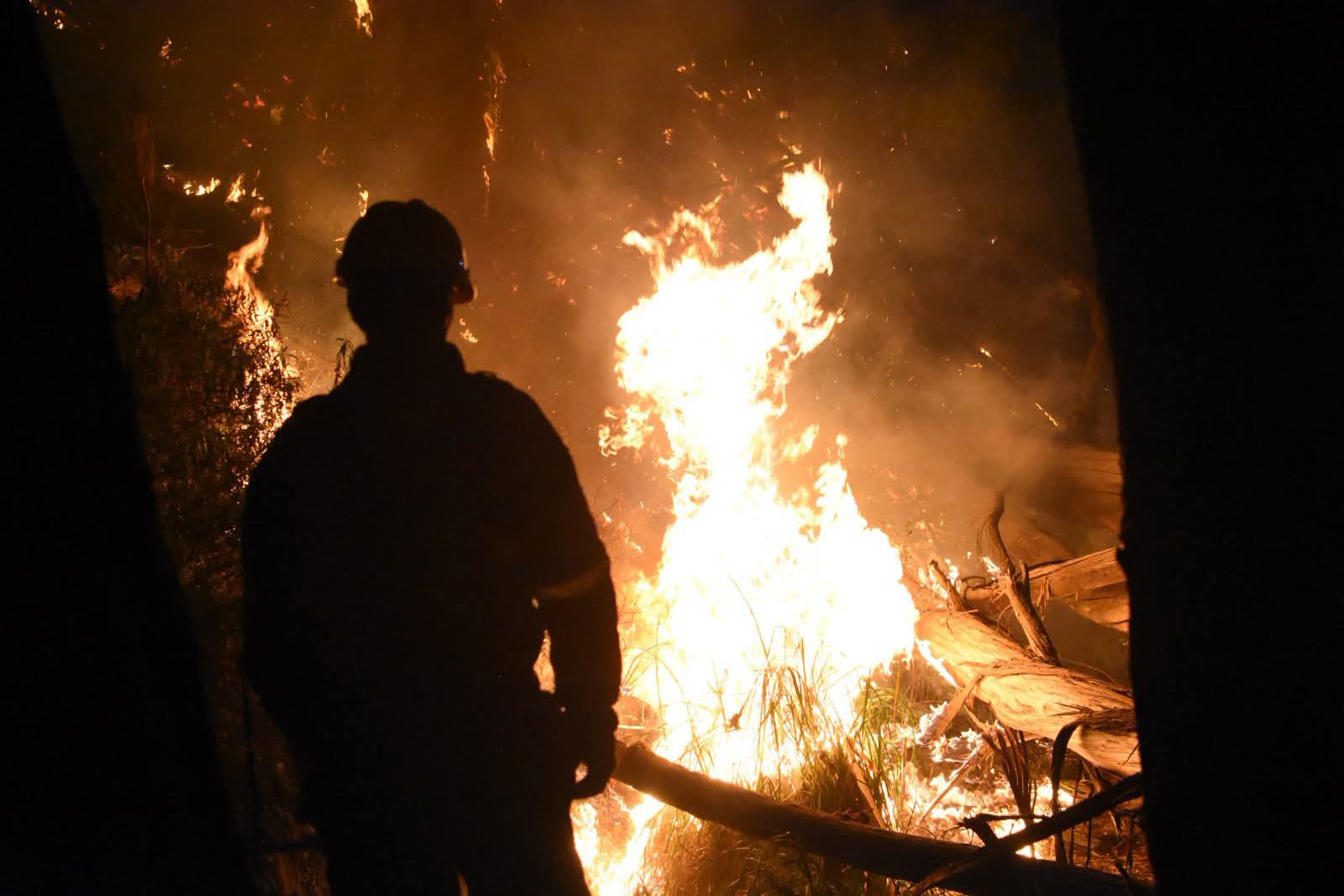 Personal de emergencia logró controlar el incendio. Foto: GAMLP.
