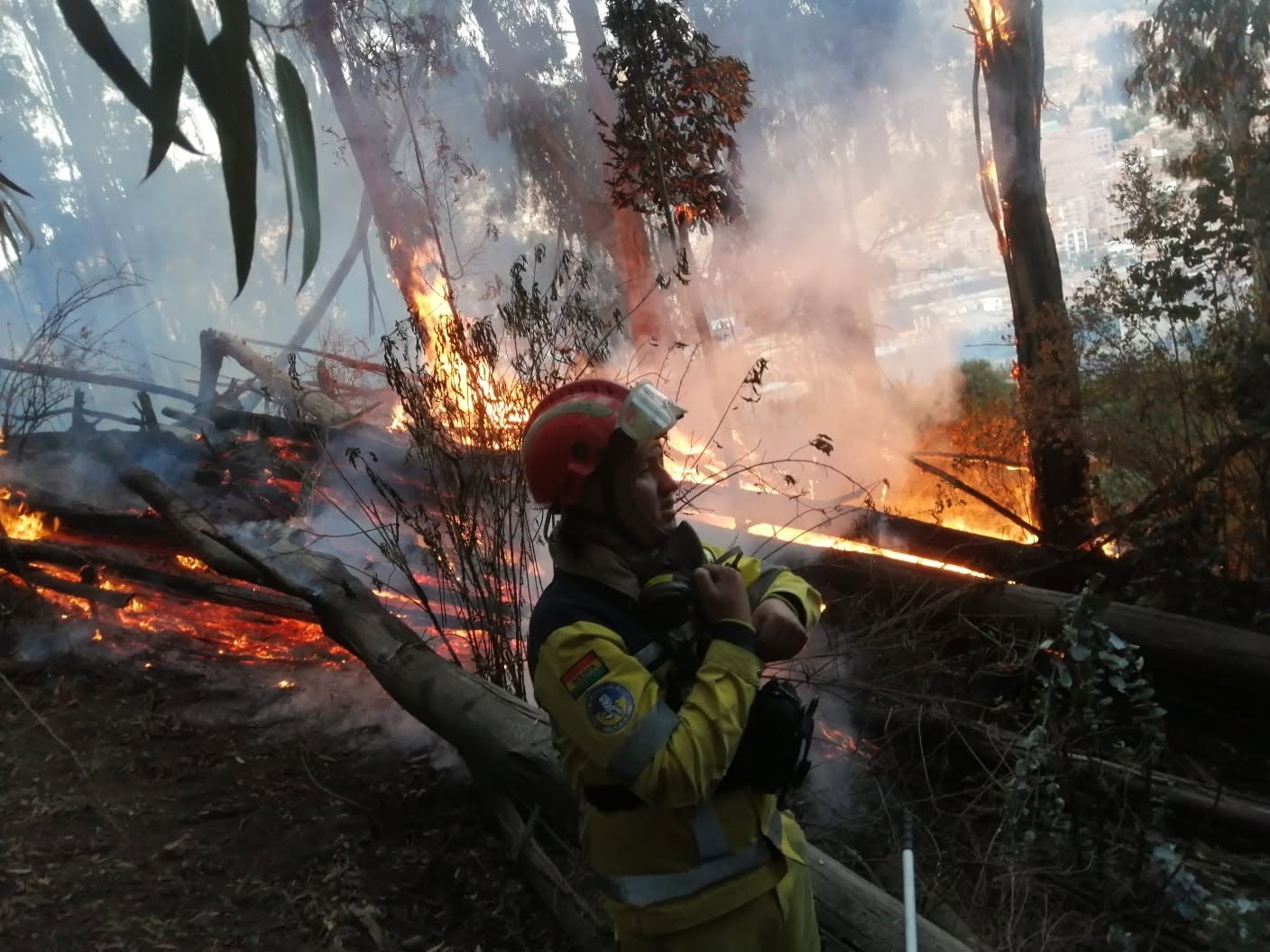 Personal de Bomberos se movilizó hasta la zona afectada. Foto: GAMLP.