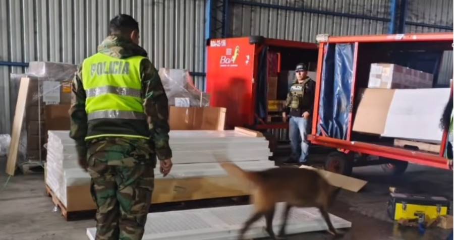 Inspección de la FELCN a la madera sospechosa con droga. Foto: captura video