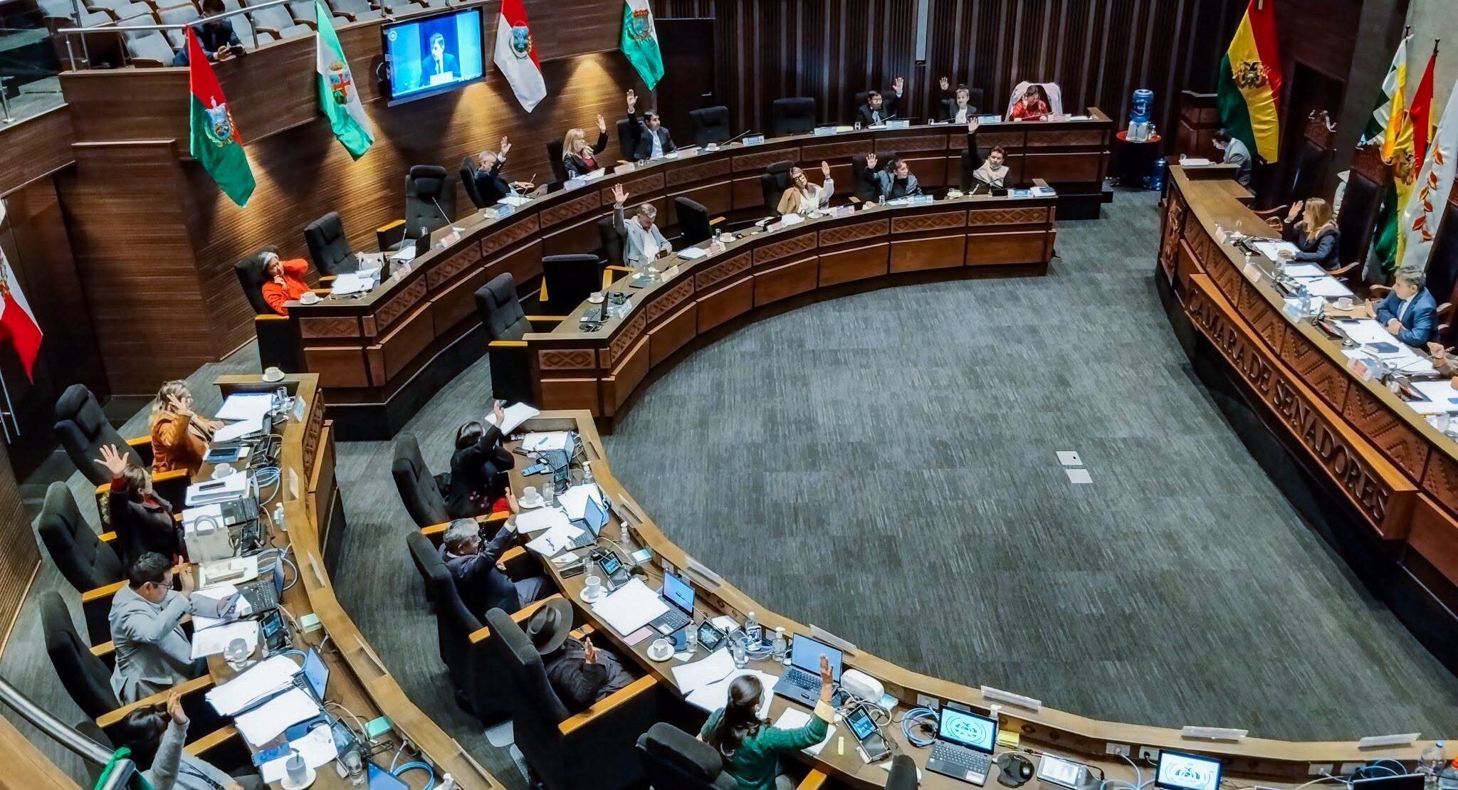 Legisladores durante el tratamiento de la norma. Foto: Cámara de Senadores.