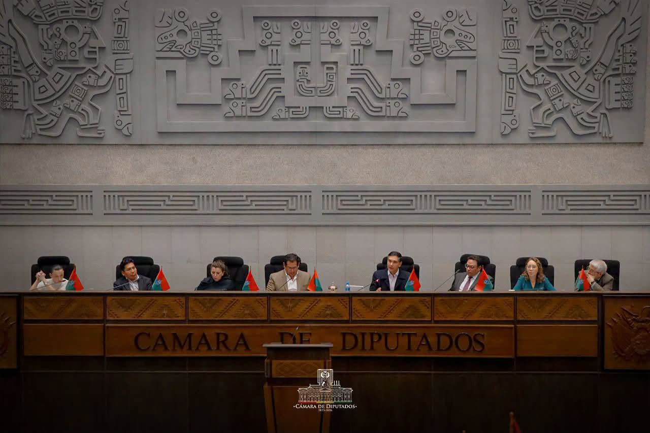 Sesión de la Cámara de Diputados. Foto: Diputados.