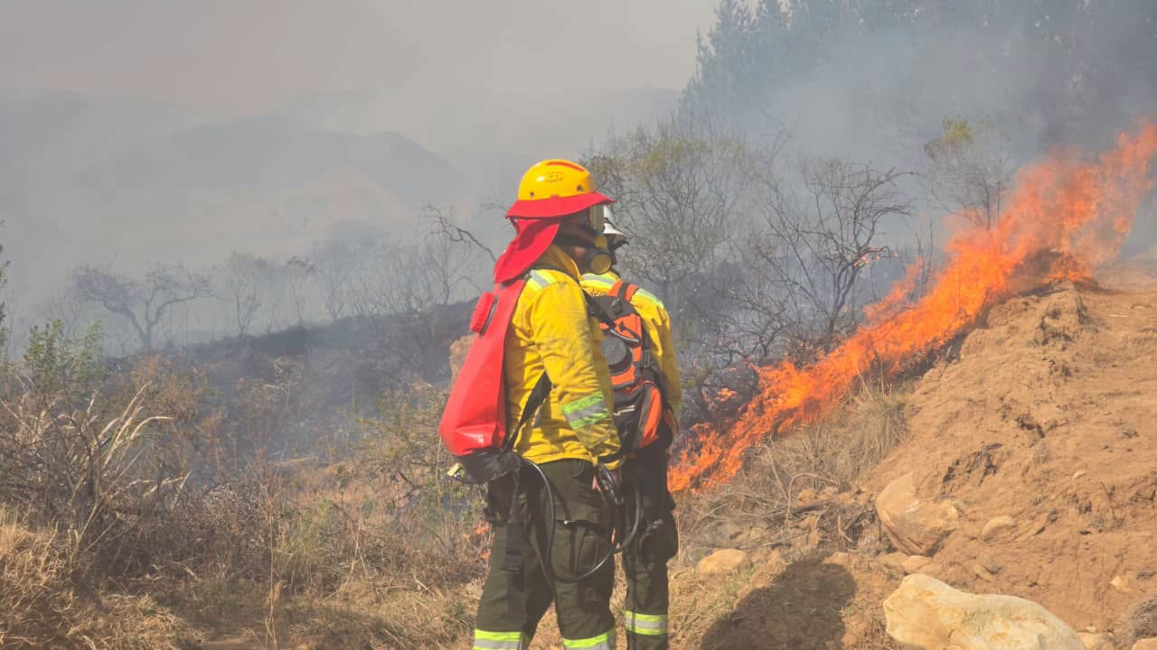 Las labores para sofocar los incendios forestales en el país continúan. Foto: Min Defensa.
