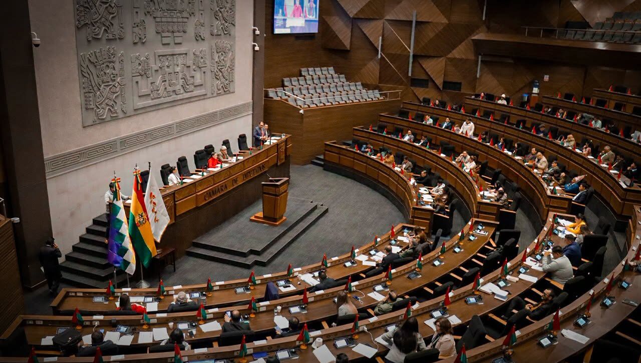 Los legisladores analizaron el proyecto de ley y añadieron algunas modificaciones. Foto: Cámara de Diputados.