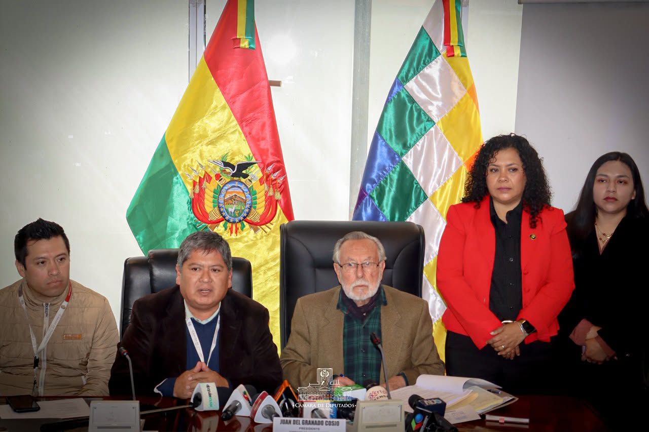 Los legisladores de la Comisión de Constitución sesionaron en esta jornada. Foto: Cámara de Diputados.