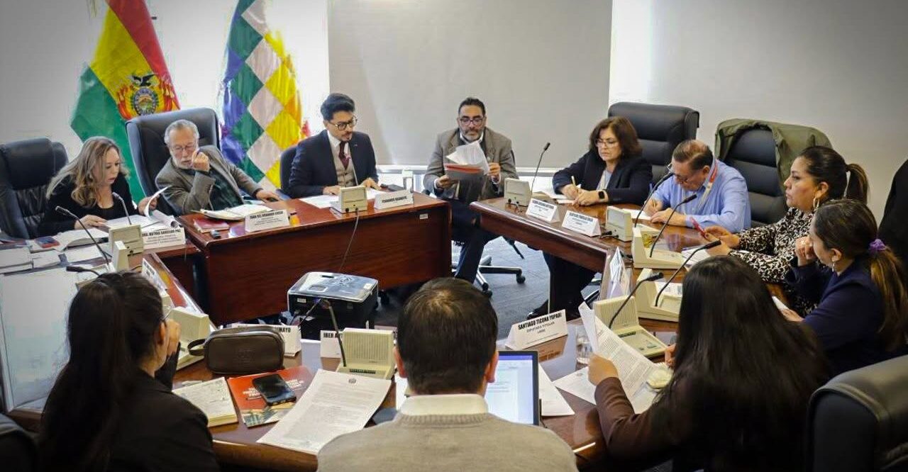 El Canciller Fernando Aramayo dio un informe en la Comisión de Constitución. Foto: Cámara de Diputados.