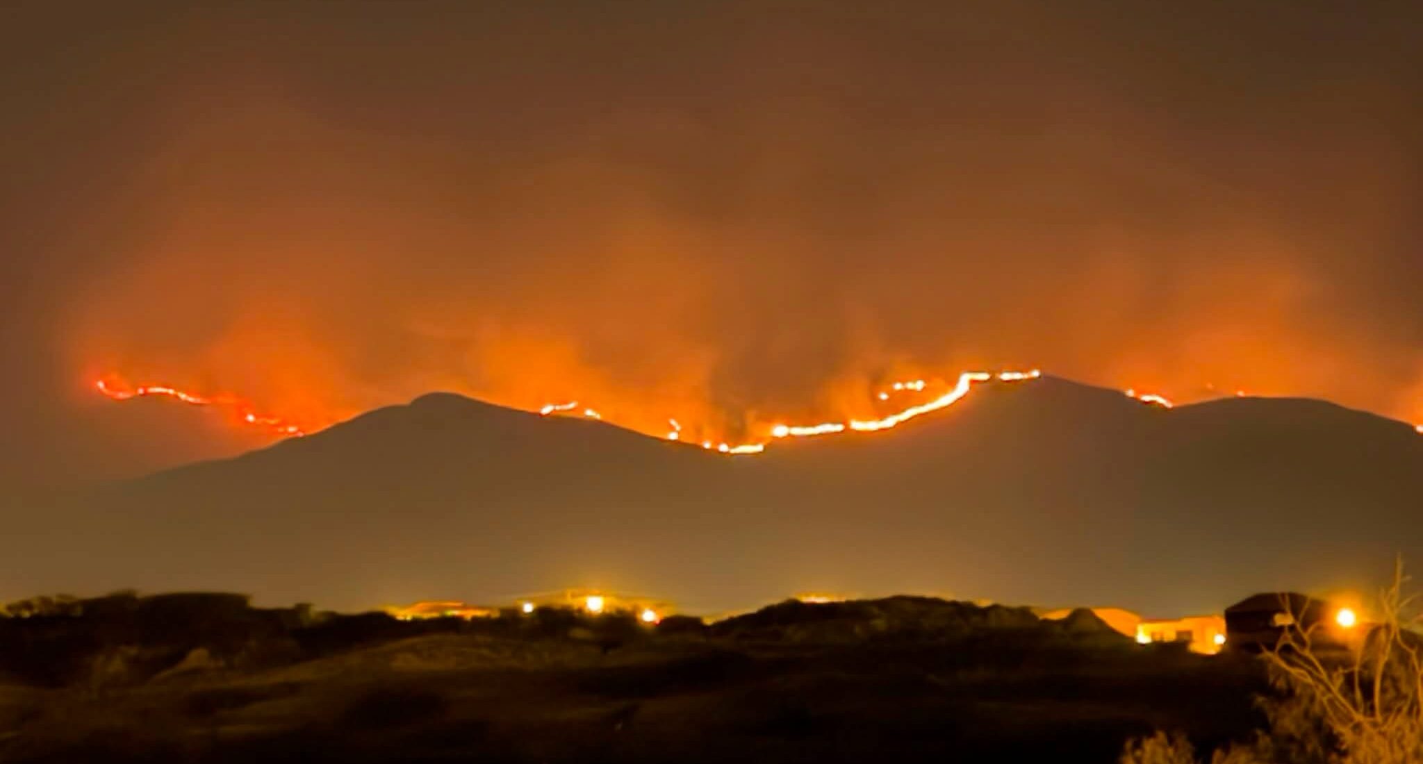 Legisladores piden se esclarezca el origen de los incendios forestales en Tarija. Foto: Cámara de Senadores.