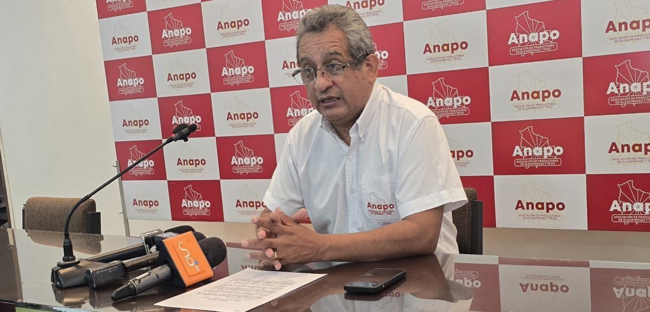Gerente general de Anapo, Jaime Hernández, en conferencia de prensa en Santa Cruz. Foto: Anapo.