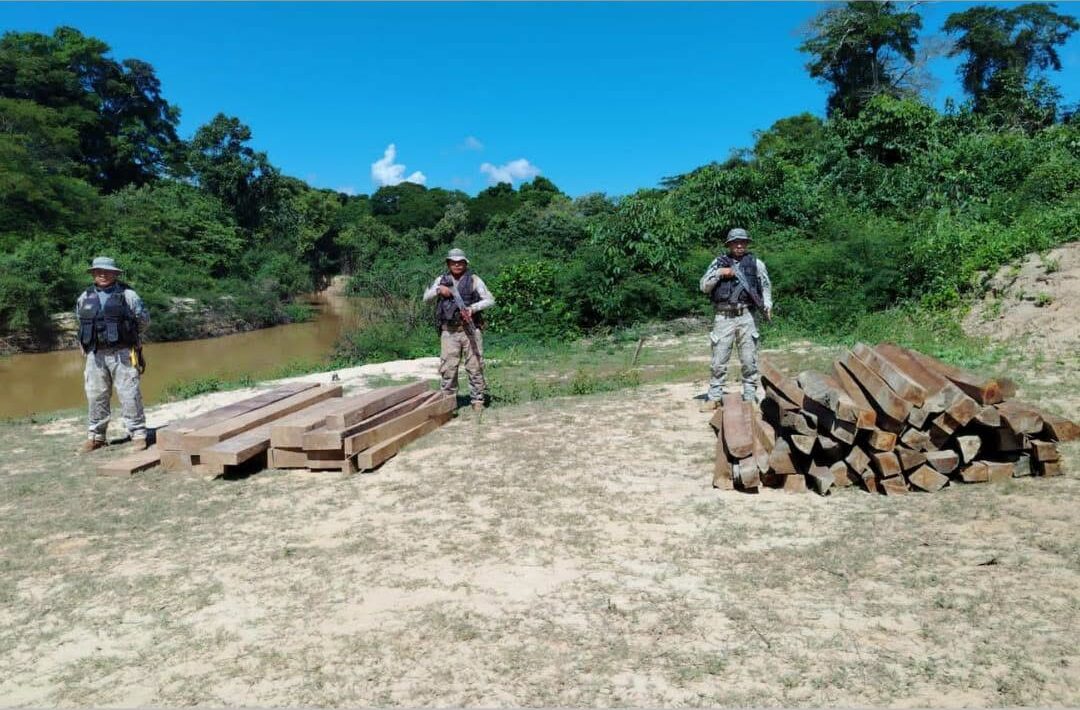 Madera comisada por la Armada Boliviana en Pando. Fotos: Armada Boliviana.