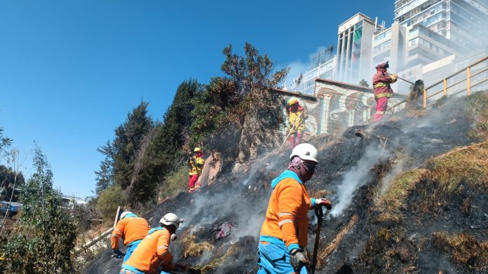 Equipos de emergencia se movilizaron para sofocar las llamas. Foto: GAMLP.
