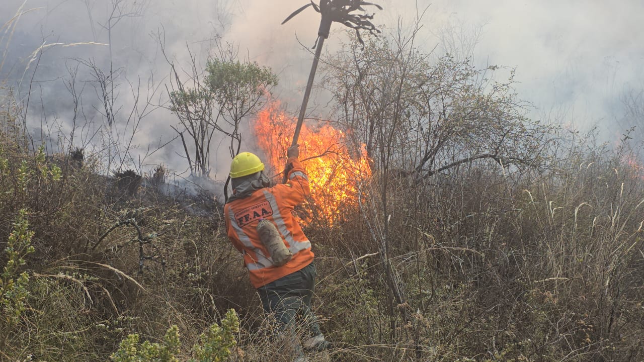 Uno de los focos de calor registrados en el país. Fotos: Ministerio de Defensa.