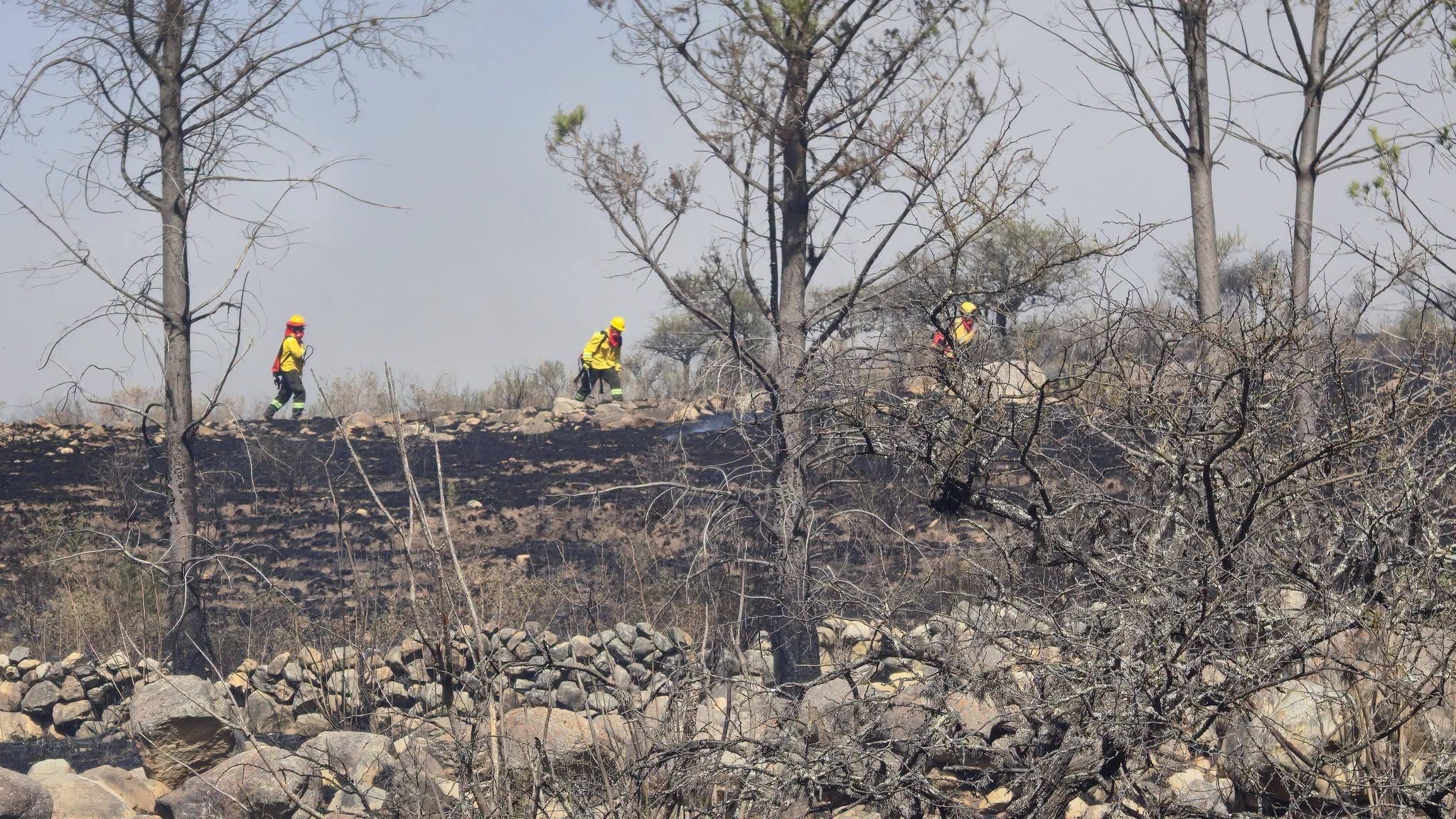 Sofocación de incendio en Tarija. Foto: Alcaldía de Tarija.