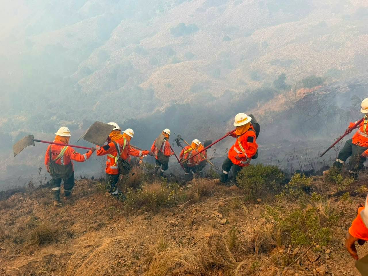 Equipos en primera línea sofocan un incendio en Bolivia. Foto: Ministerio de Defensa.