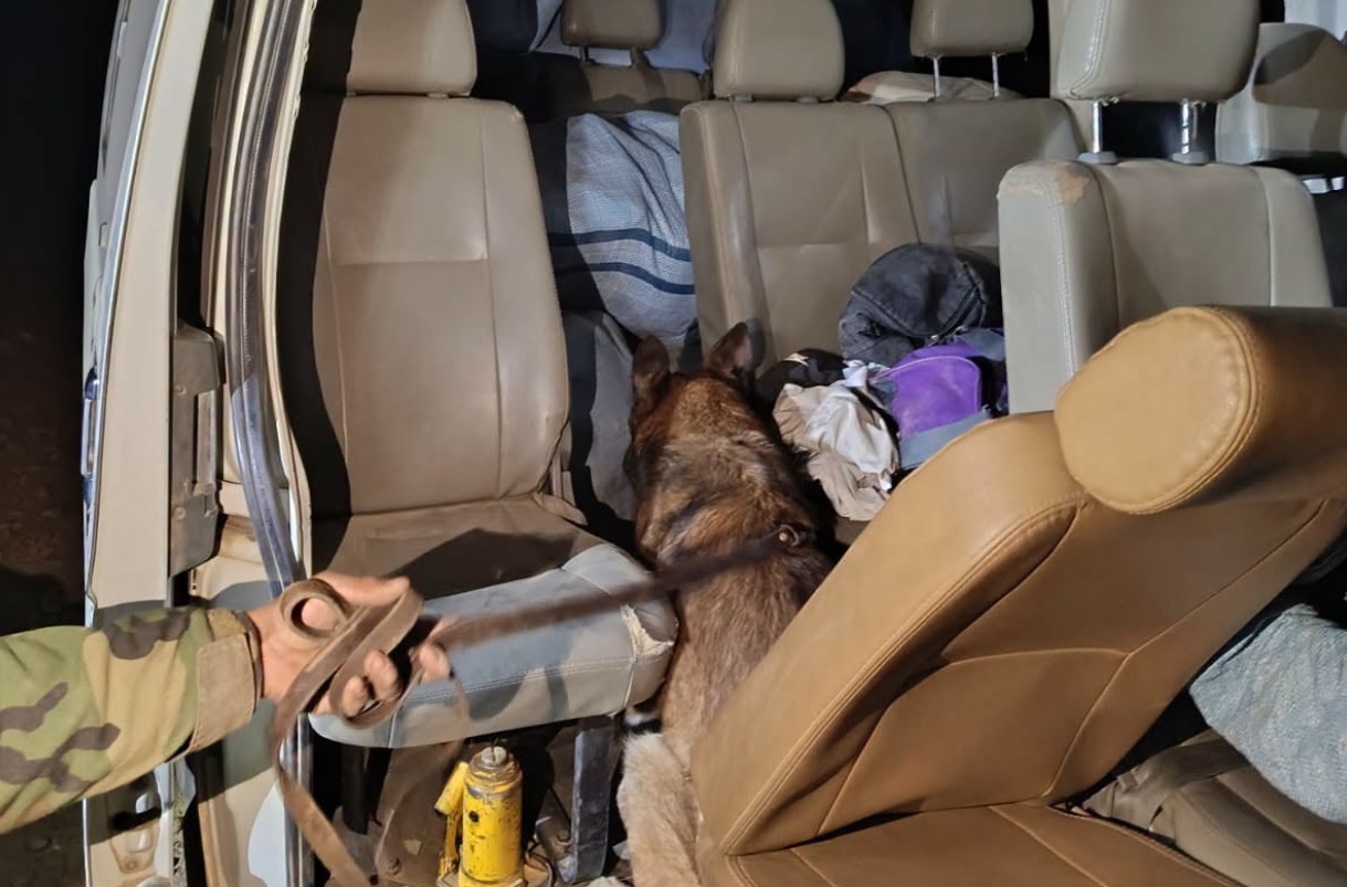 El can "Xenko" logró detectar la droga dentro de un vehículo. Foto: FELCN