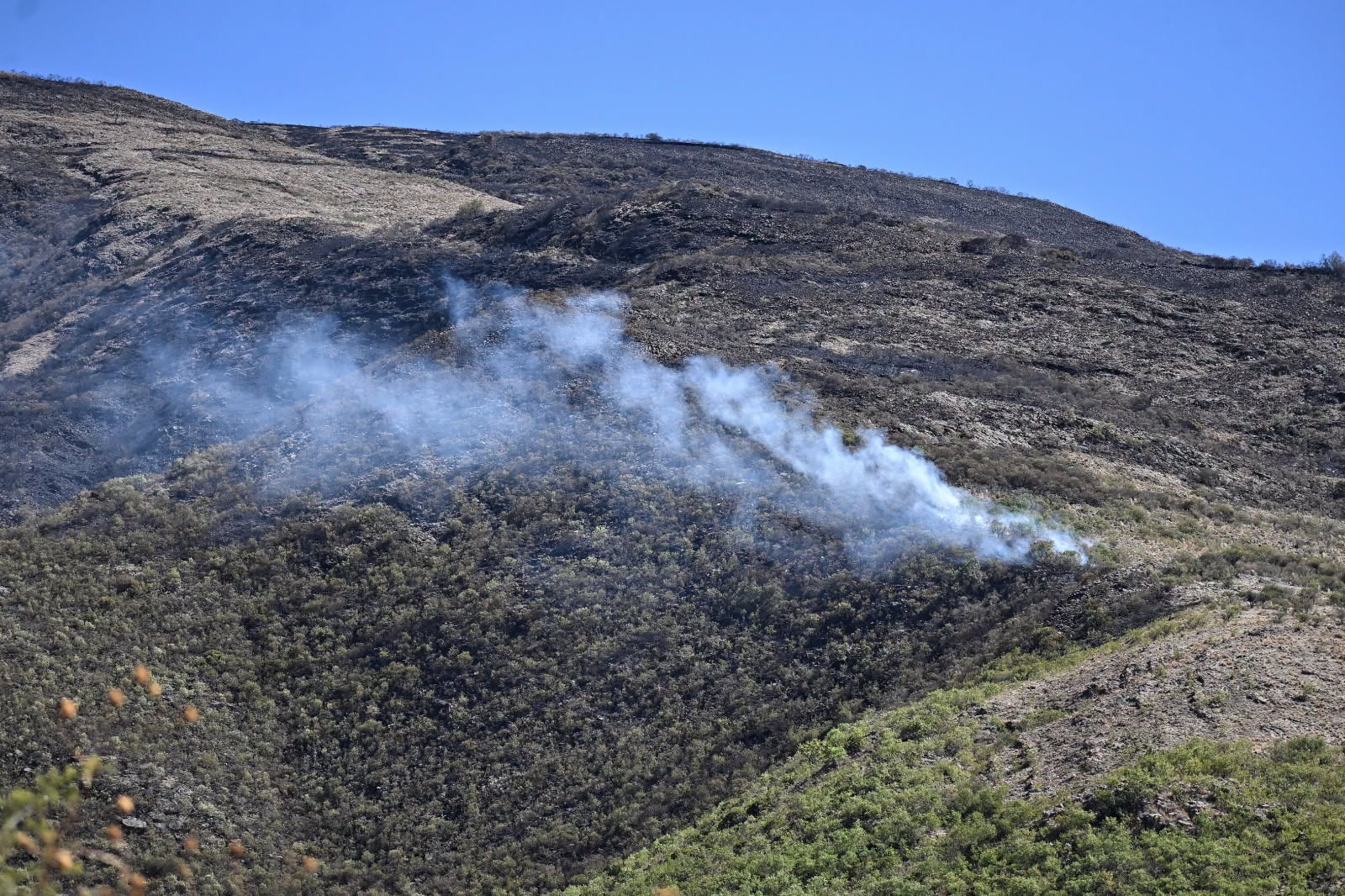 Un incendio activo en Tarija. Foto: GobCom