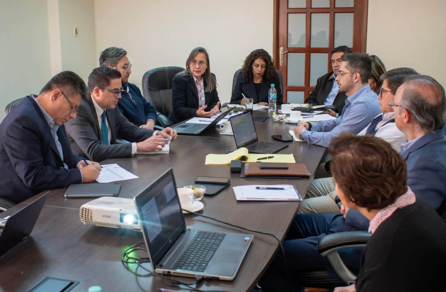 La iniciativa es liderada por el Ministerio de Planificación del Desarrollo y Medio Ambiente (MPDyMA) a través del Viceministerio de Planificación Estratégica.