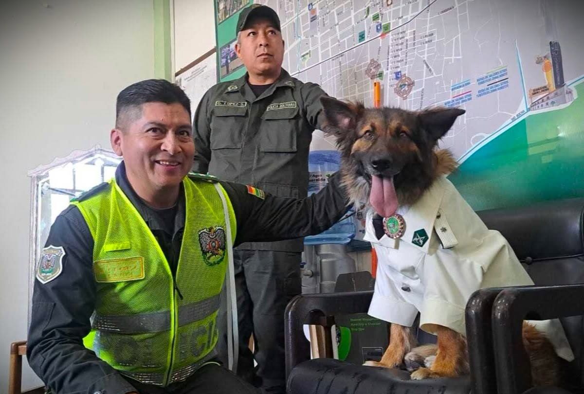Con su traje de gala, Rex recibió la bendición por San Roque. (Foto: Policía Boliviana)