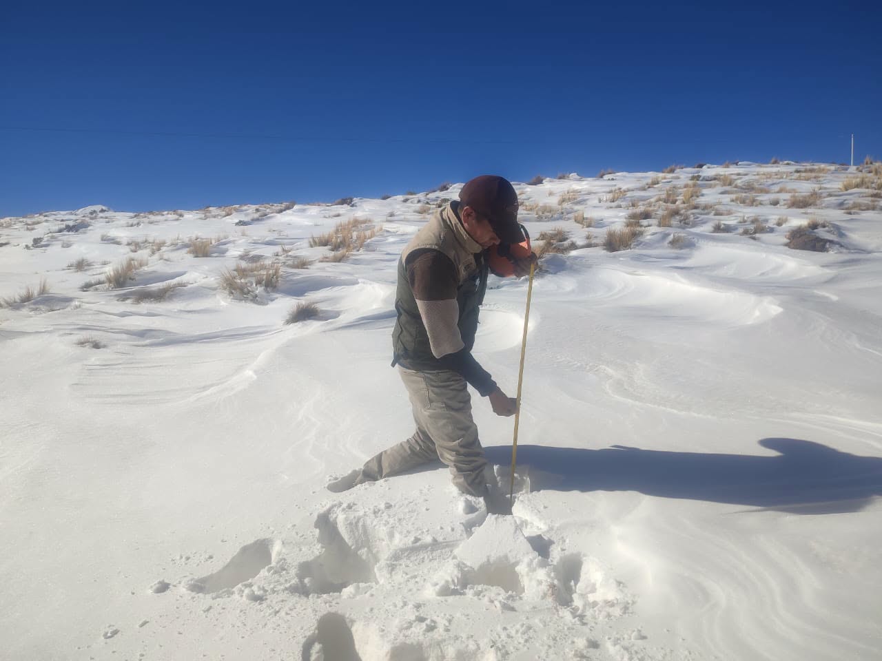 Técnicos del INSA verifican y evalúan las afectaciones por la nevada. Foto: Ministerio de Producción Sostenible.