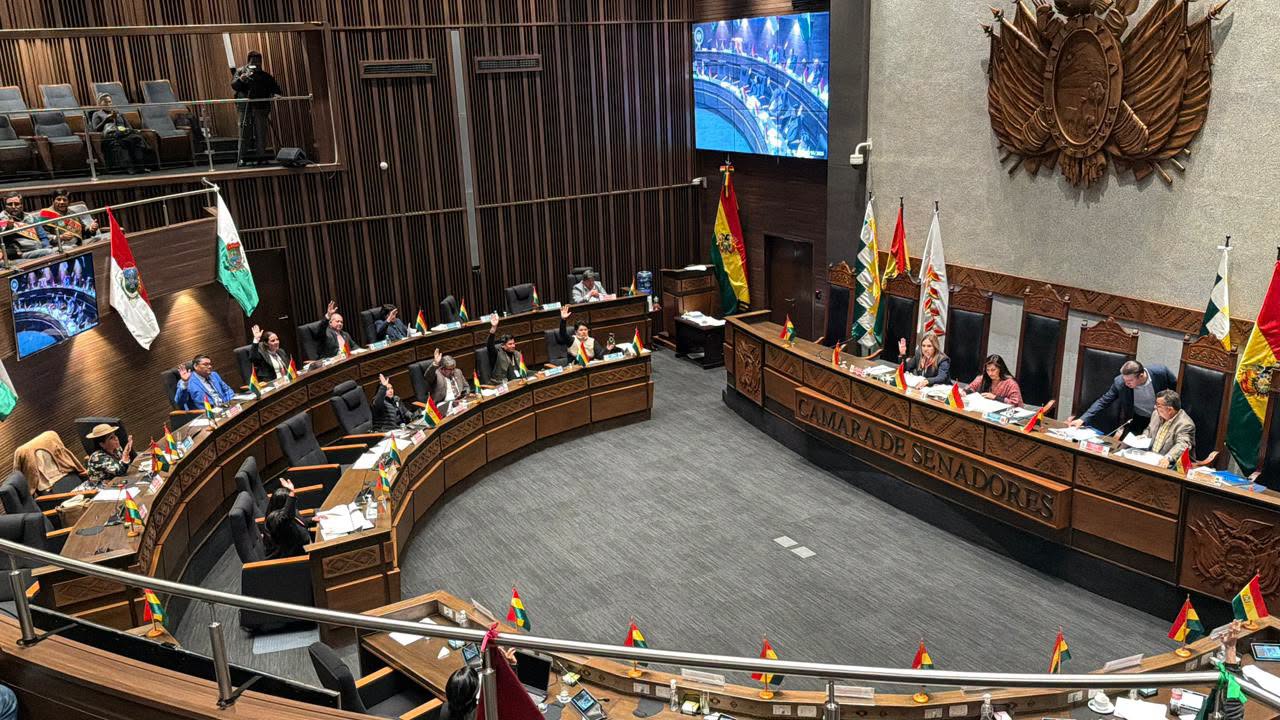 La Cámara de Senadores, aprobó por más de dos tercios el contrato de préstamo con el Banco Interamericano de Desarrollo (BID).