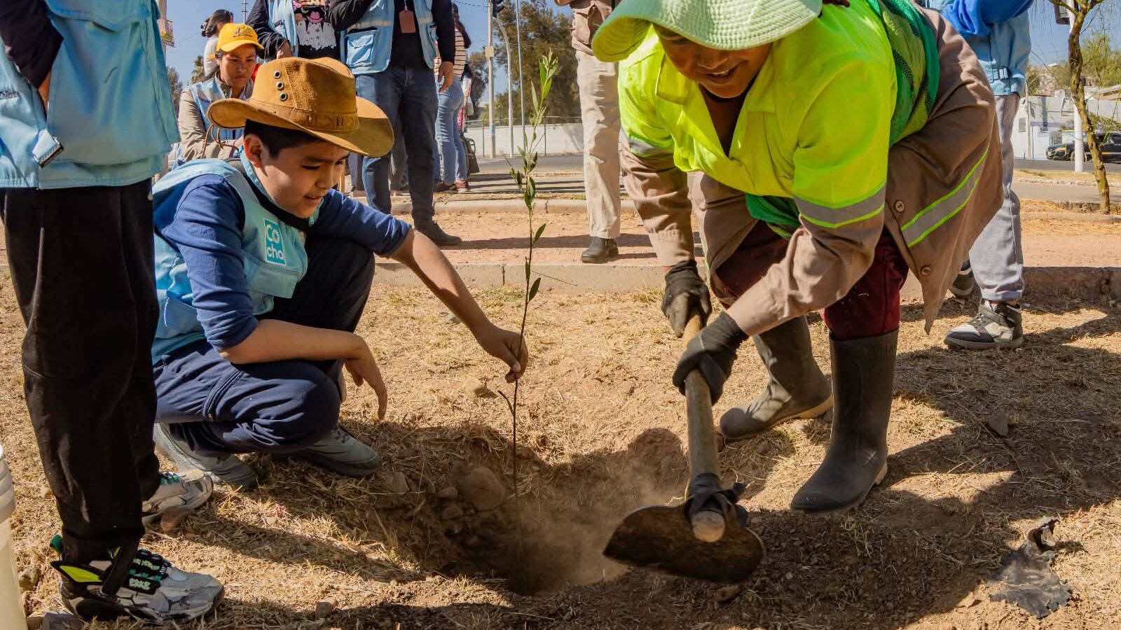 Varios estudiantes participan en la campaña “Adopta un Árbol”. Foto: GAMC.