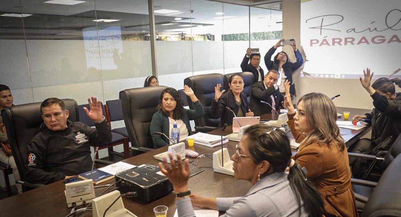 Los legisladores de la Comisión de Planificación analizaron el proyecto de ley. Foto: Cámara de Diputados.