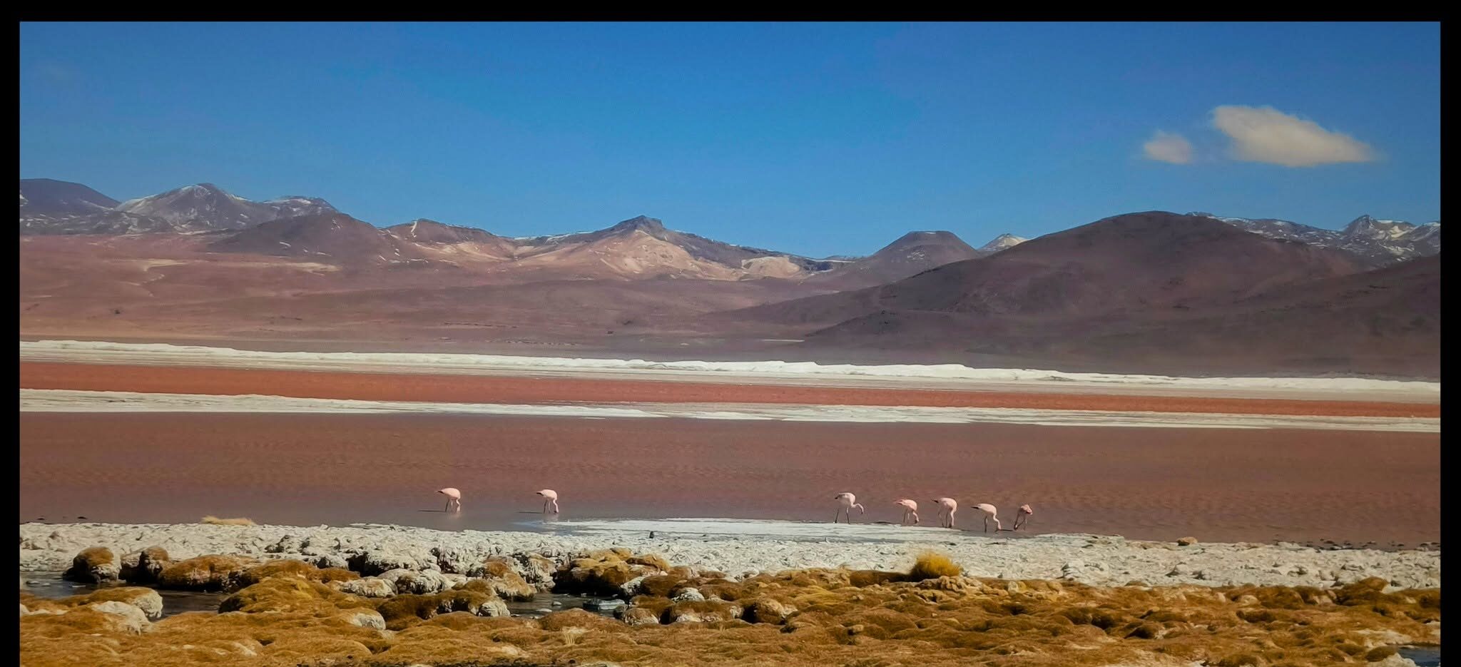 Un de los circuitos que ofrece la Reserva Nacional de Fauna Andina Eduardo Avaroa. Foto: RNFA-EA.