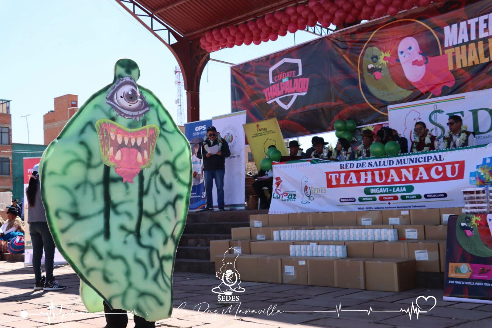 Lanzamiento de la campaña contra la fasciola hepática en Tiwanaku este domingo. Fotos: Sedes La Paz.