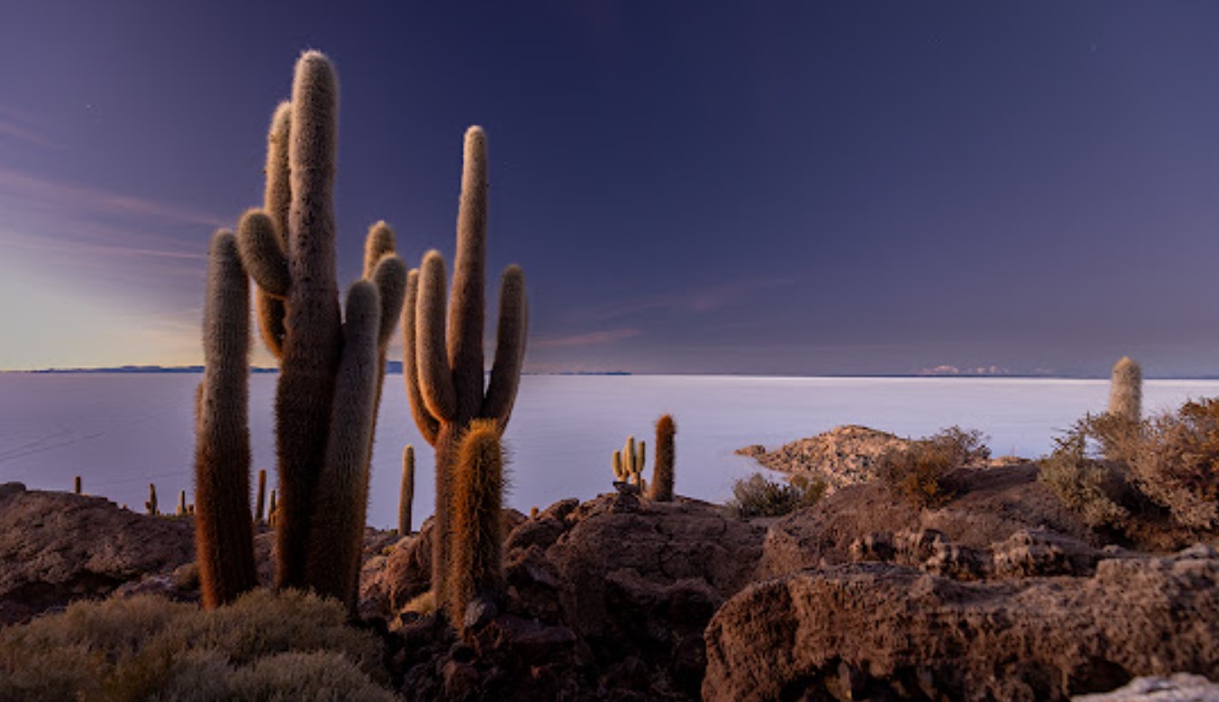 El salar de Uyuni, uno de los principales destinos turísticos de Bolivia. Foto: Redes sociales.