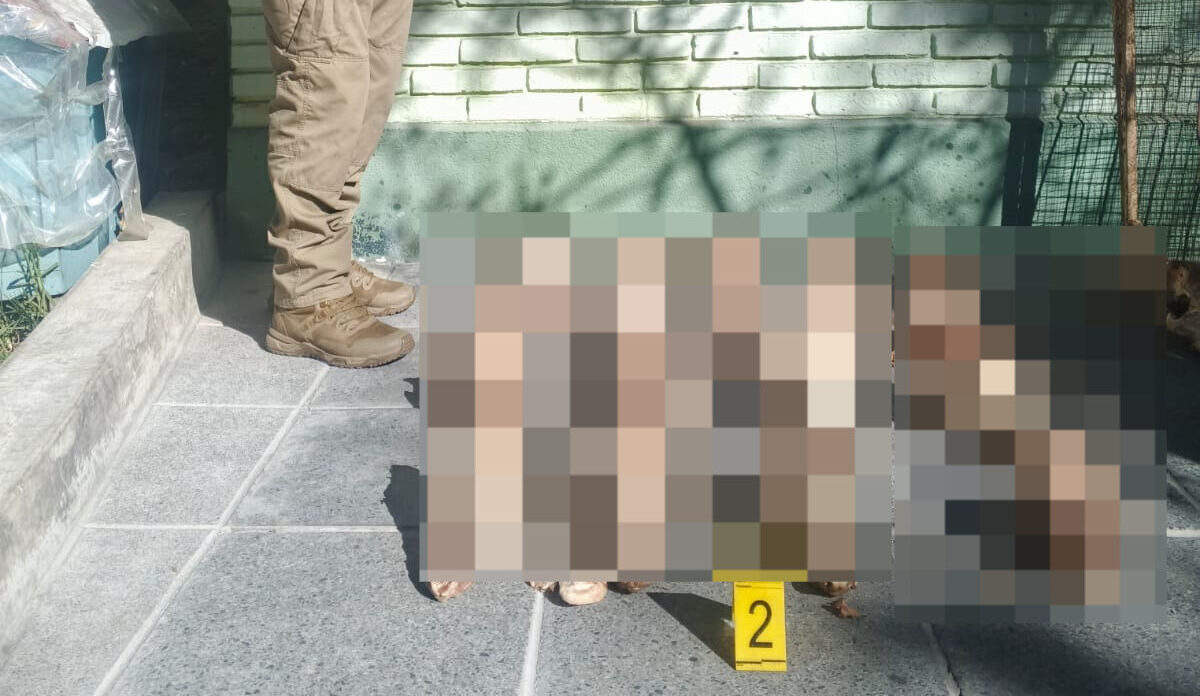 Se encontraron 25 cráneos en un basurero.
