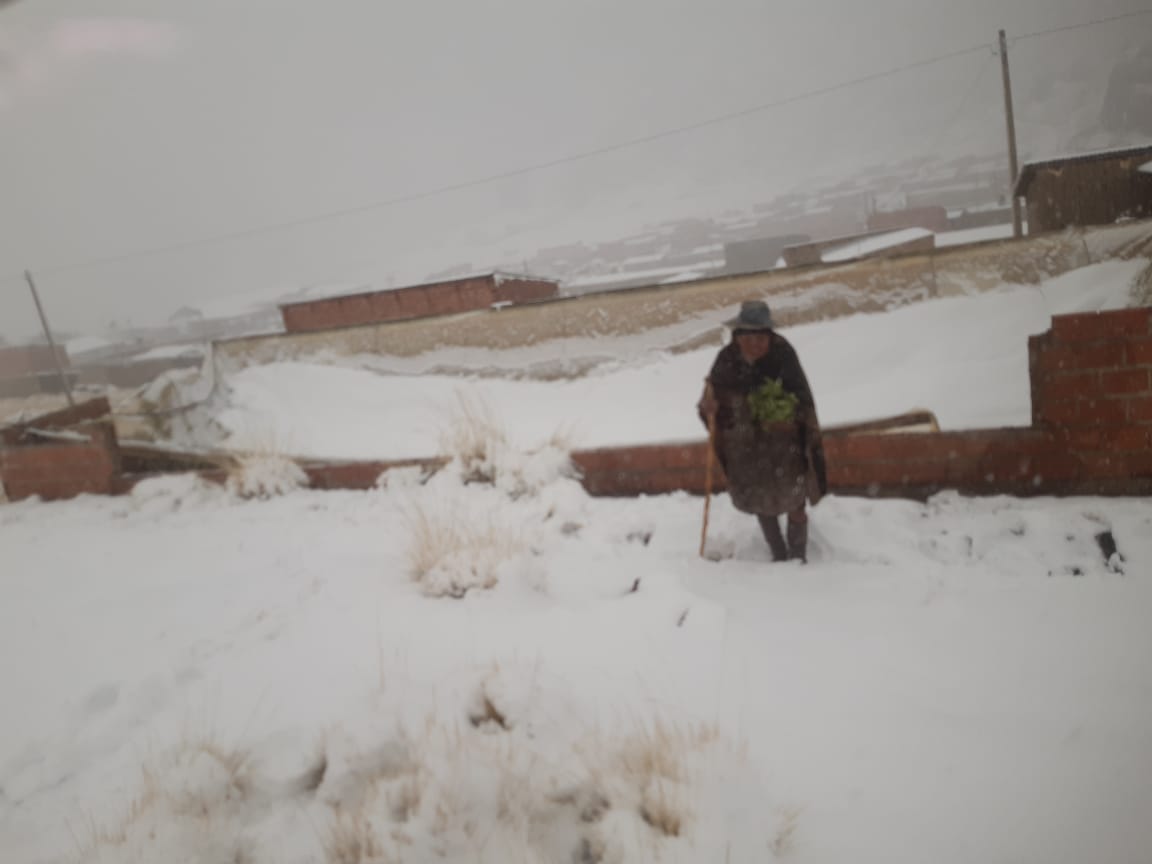 Varias familias fueron afectadas por las nevadas en Potosí. Foto: Defensa Civil.