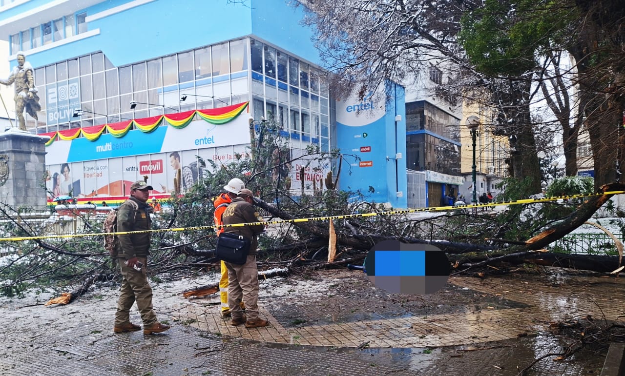 Efectivos policiales en el ligar donde cayó un árbol. Foto: FGE