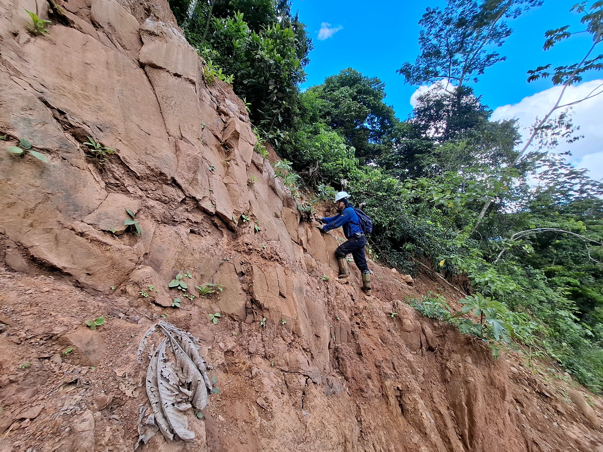 La fase 1 del relevamiento geológico incluyó la revisión geológica de superficie en el tramo carretero Caranavi – Yucumo. Foto: YPFB.