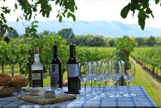 Vinos producidos en bodegas de Tarija. Foto: Archivo.