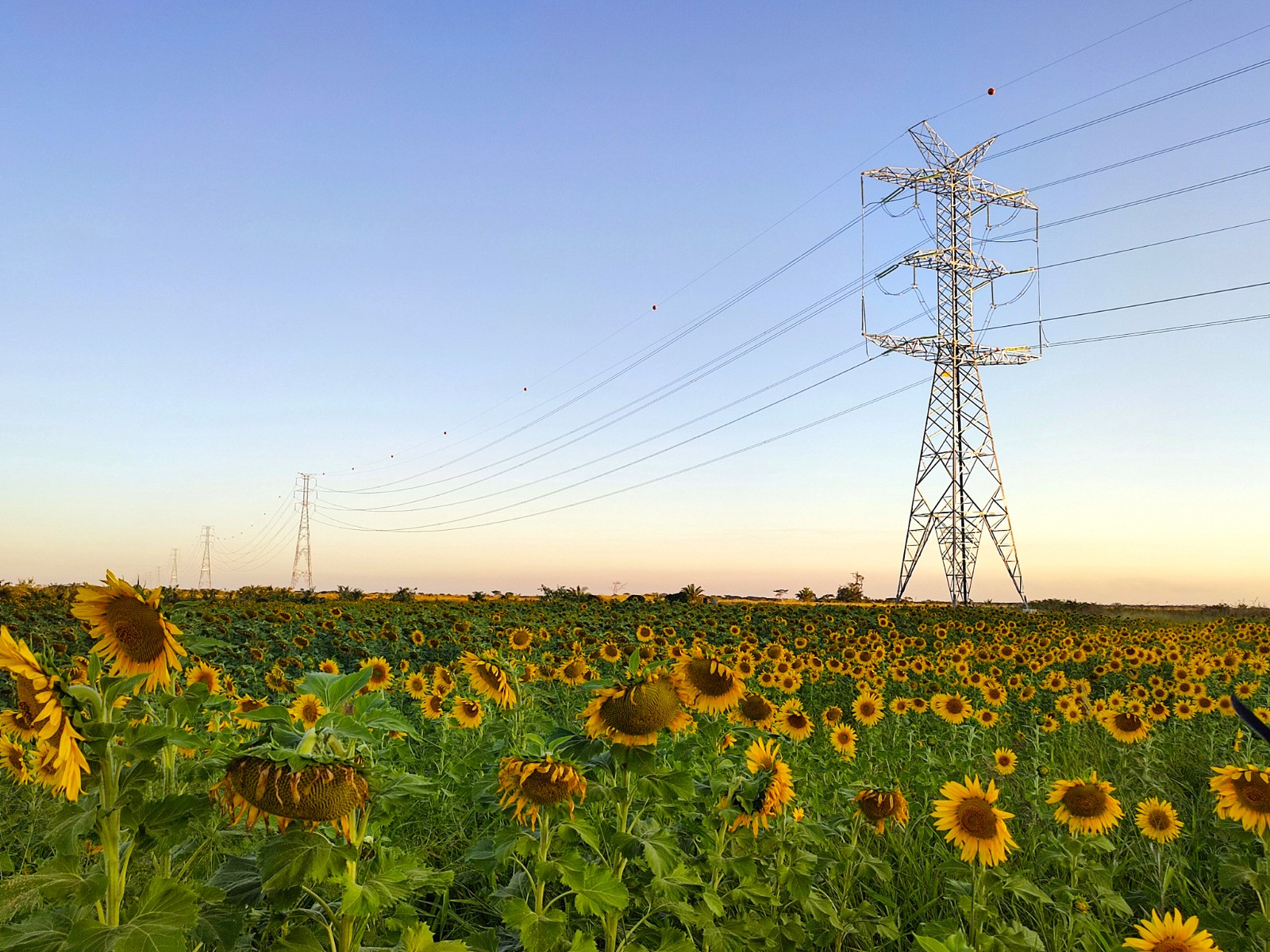 El esquema eléctrico boliviano se compone del Sistema Interconectado Nacional y de sistemas aislados. Foto: ENDE.