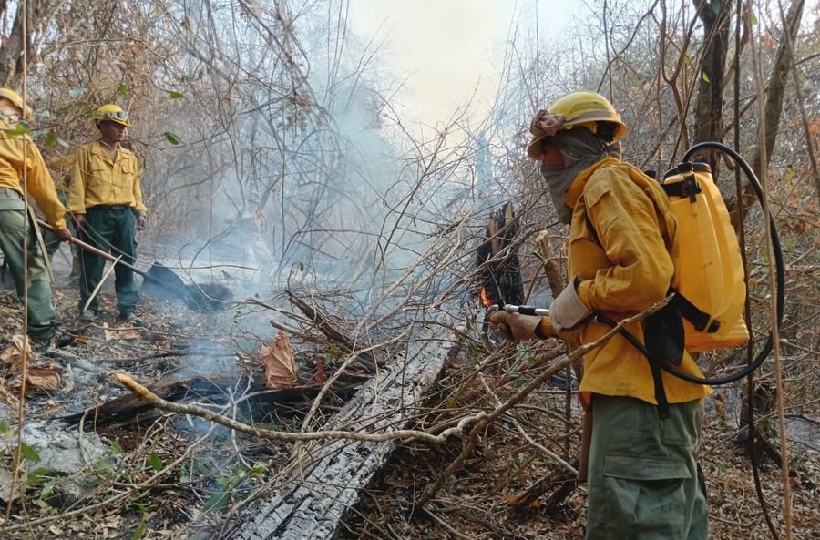 El combate de los bomberos en los incendios forestales. Foto: Archivo.