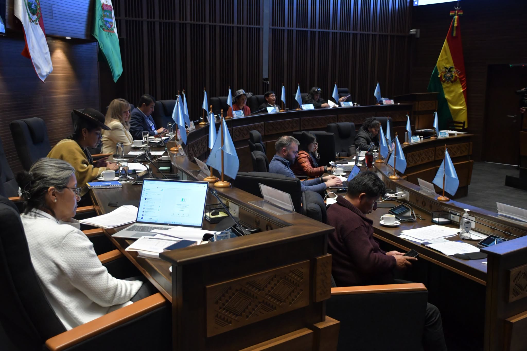 Los legisladores analizan la norma en el Senado. Foto. Cámara de Senadores.